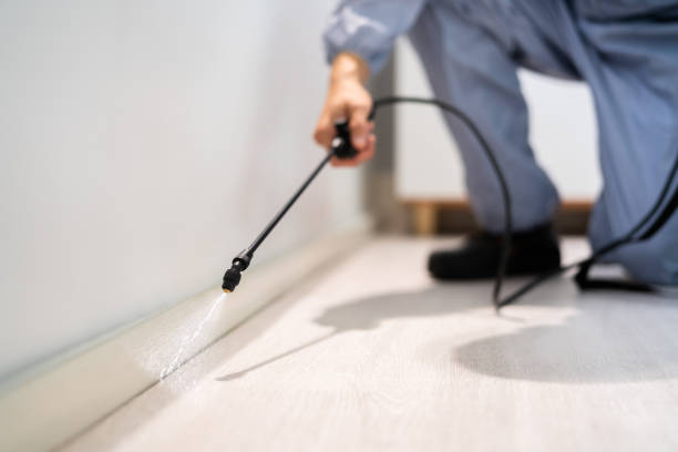 Licensed Termite Control service in Idabel, OK - Nex Pest Control