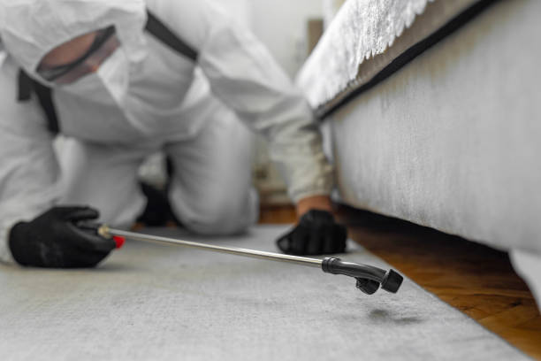 Professional Termite Control technician working in Idabel, OK