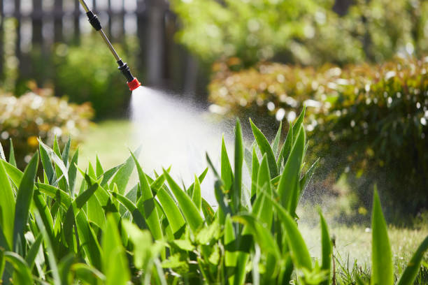 24/7 Emergency Termite Control experts in Idabel, OK