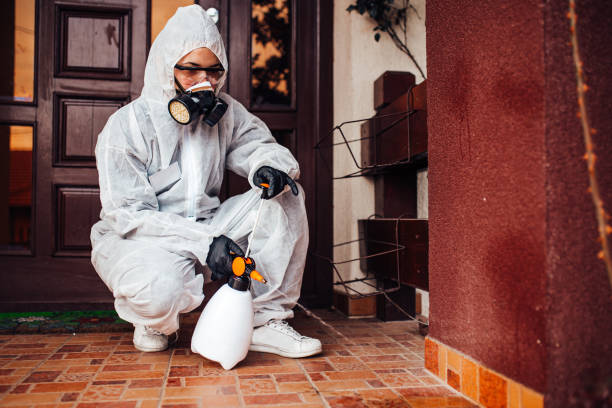 Reliable Termite Control contractor in Idabel, OK by Nex Pest Control