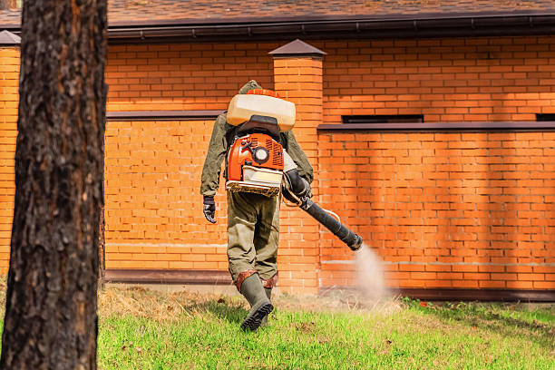 Top rated local Termite Control specialists in Idabel, OK